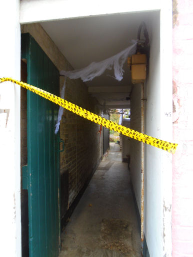 2025 Gwydir St Halloween window